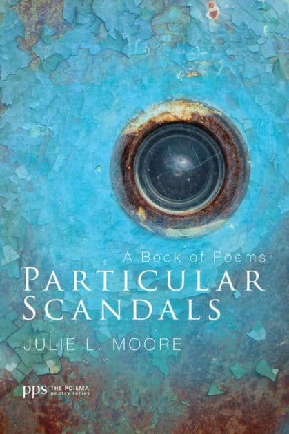 Particular Scandals book cover